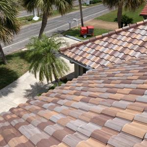 Sanibel | New Florida Blend | 03