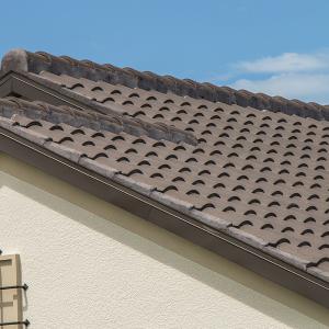 Sanibel | Tobacco | 01