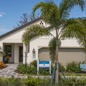 Sanibel | Tobacco | 02