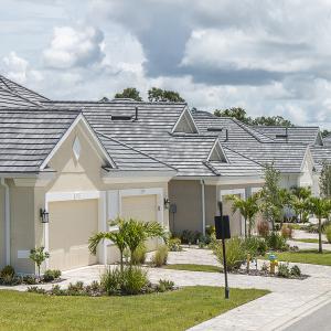 Windsor Slate | Moonlight Gray Blend | 31