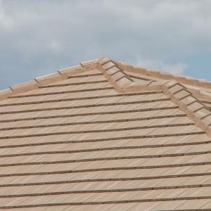 Windsor Slate | Sand Dollar | 03