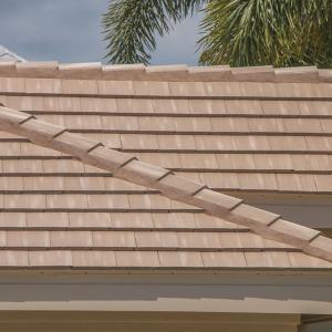 Windsor Slate | Sand Dollar | 04