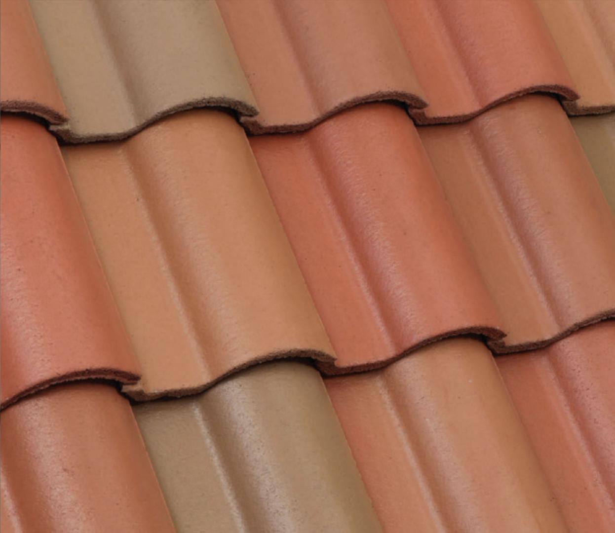 Tx | Mediterranean | Nueva España Blend